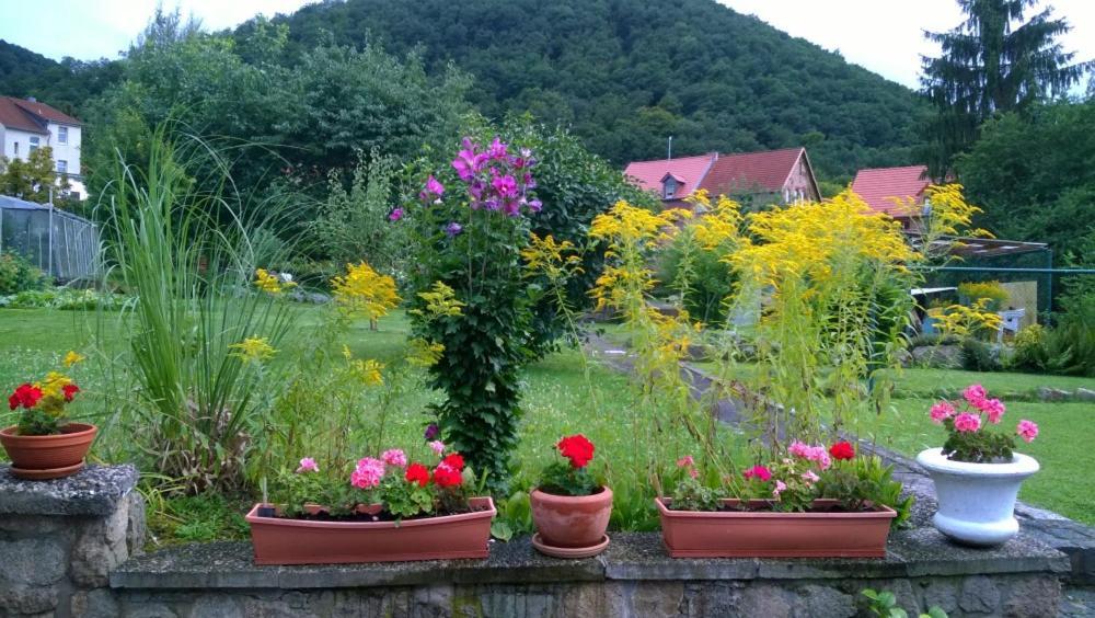 Ferienwohnung Bergblick Thale Exterior foto
